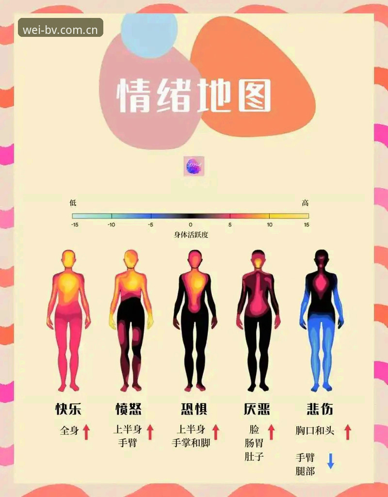 5大焦点解读：皇马主席选举风波与西甲联盟主席的深度剖析